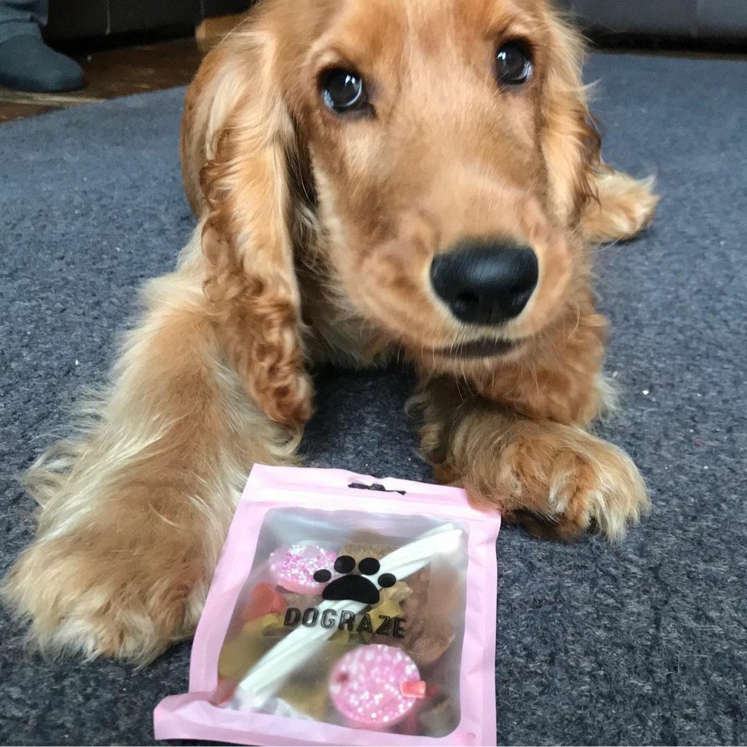 Mix pamlsků pro psy – sáček plný dobrot