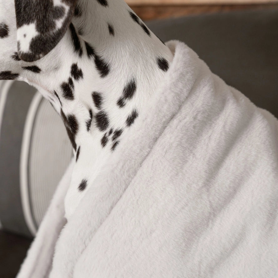 Uklidňující deka pro psy a štěňata – krémová