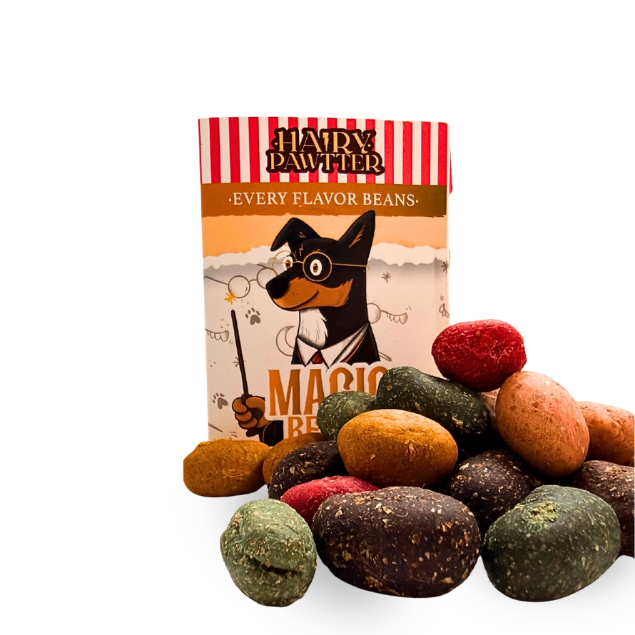Hairy Pawtter Set – magická kolekce pro psy s vytříbeným stylem