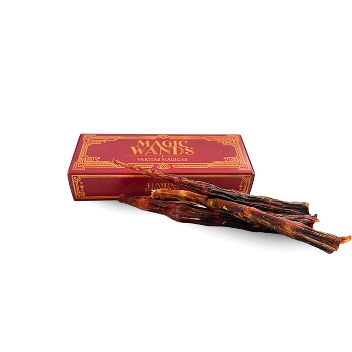 Hairy Pawtter Set – magická kolekce pro psy s vytříbeným stylem