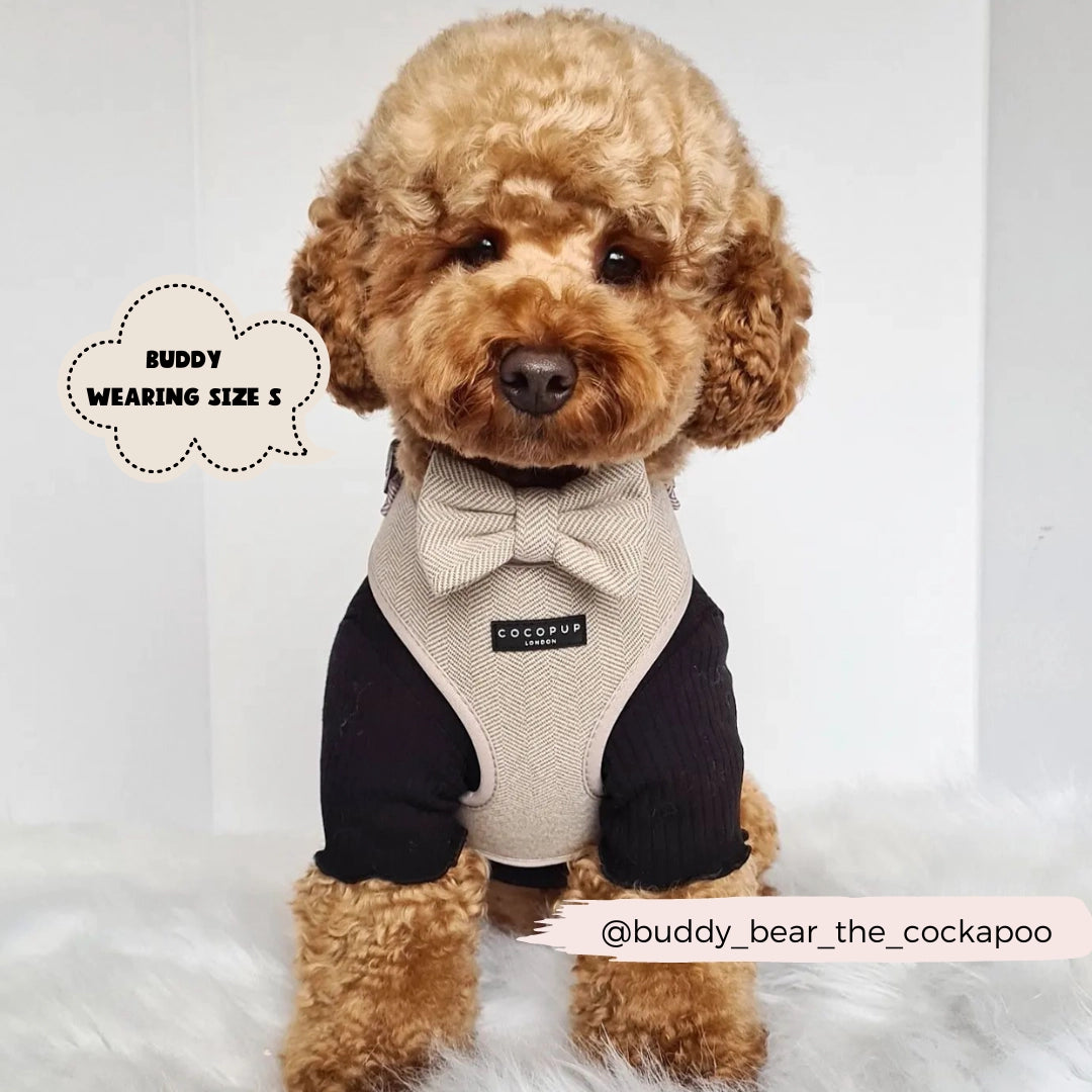 Postroj Brown Tweed s nastavitelným obvodem krku