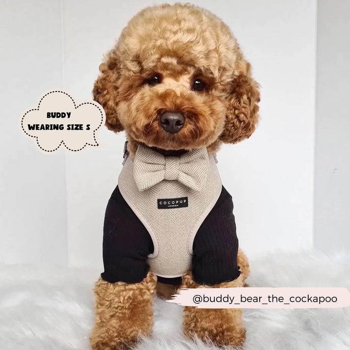 Postroj Brown Tweed s nastavitelným obvodem krku