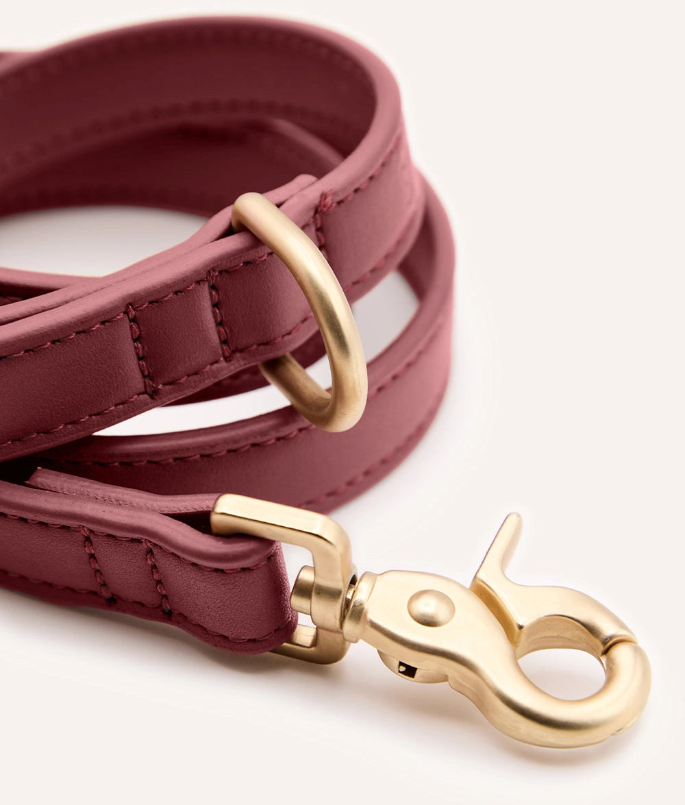 Vegan Leather Vodítko Jala - 1.4m