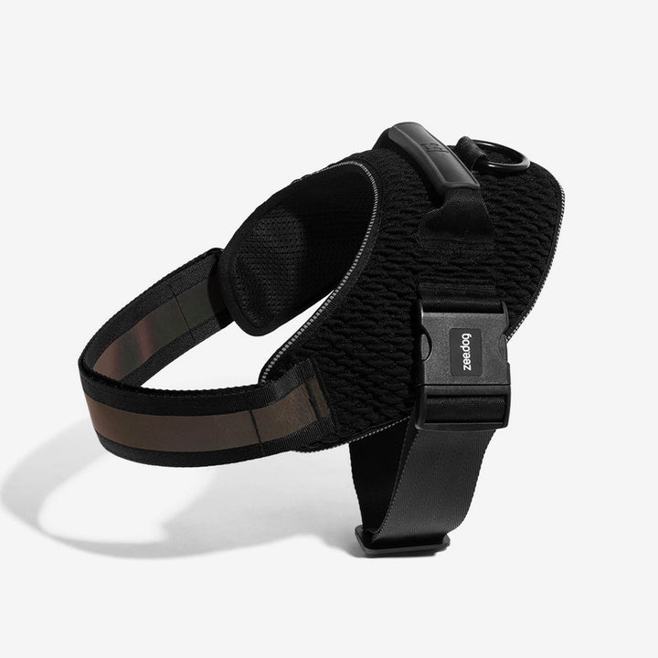 Postroj s madlem – Flyharness