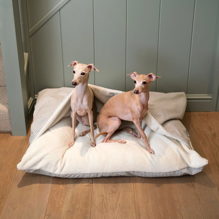 Pelíšek s kapsou pro psy – Regency Stripe