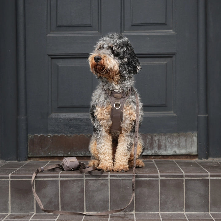 Aktivní postroj pro psa Elma – Taupe