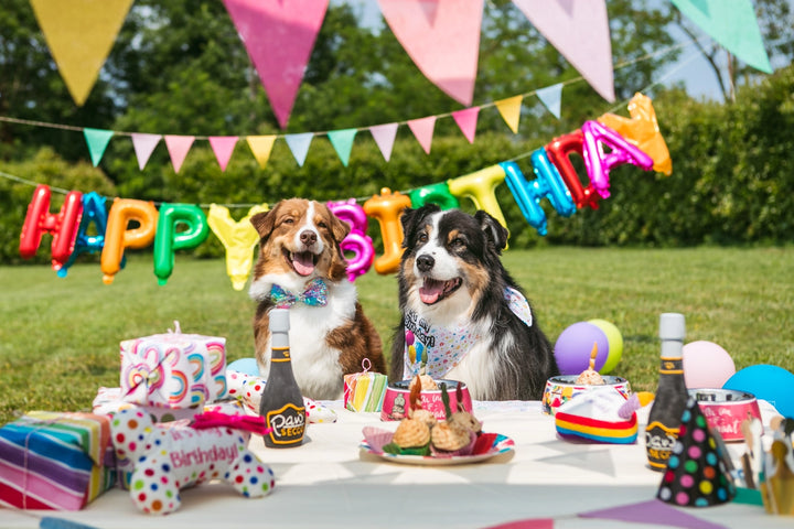 Jedlé narozeninové svíčky pro psy – 4 ks