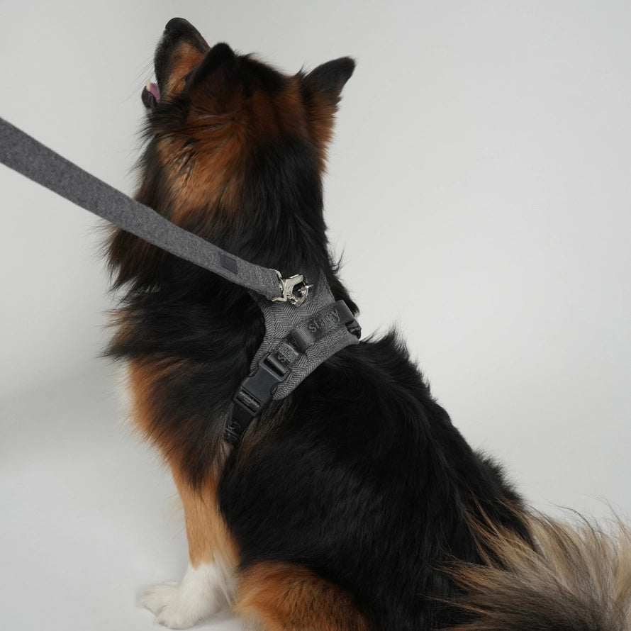 Vodítko pro psa Elma – Dusty Blue