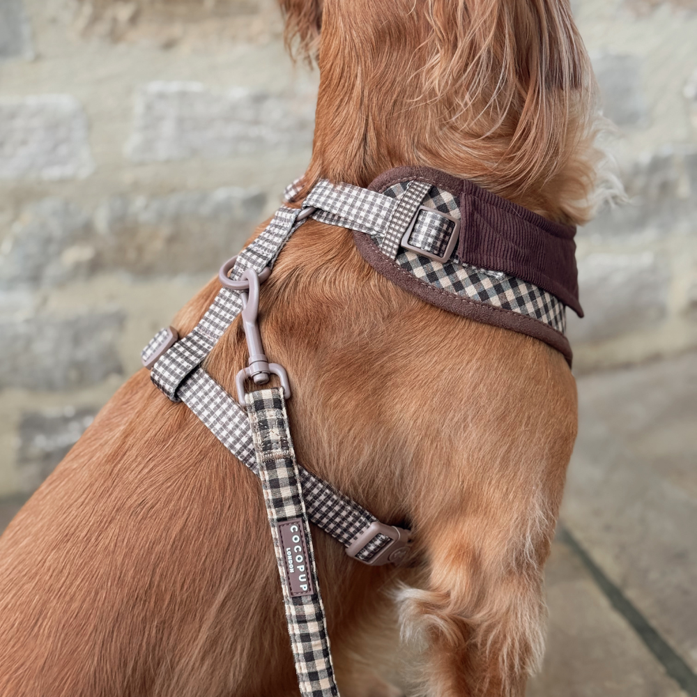 Postroj Cotswolds Check s nastavitelným obvodem krku