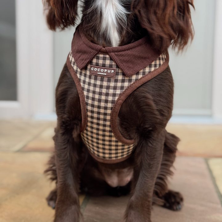 Postroj Cotswolds Check s nastavitelným obvodem krku