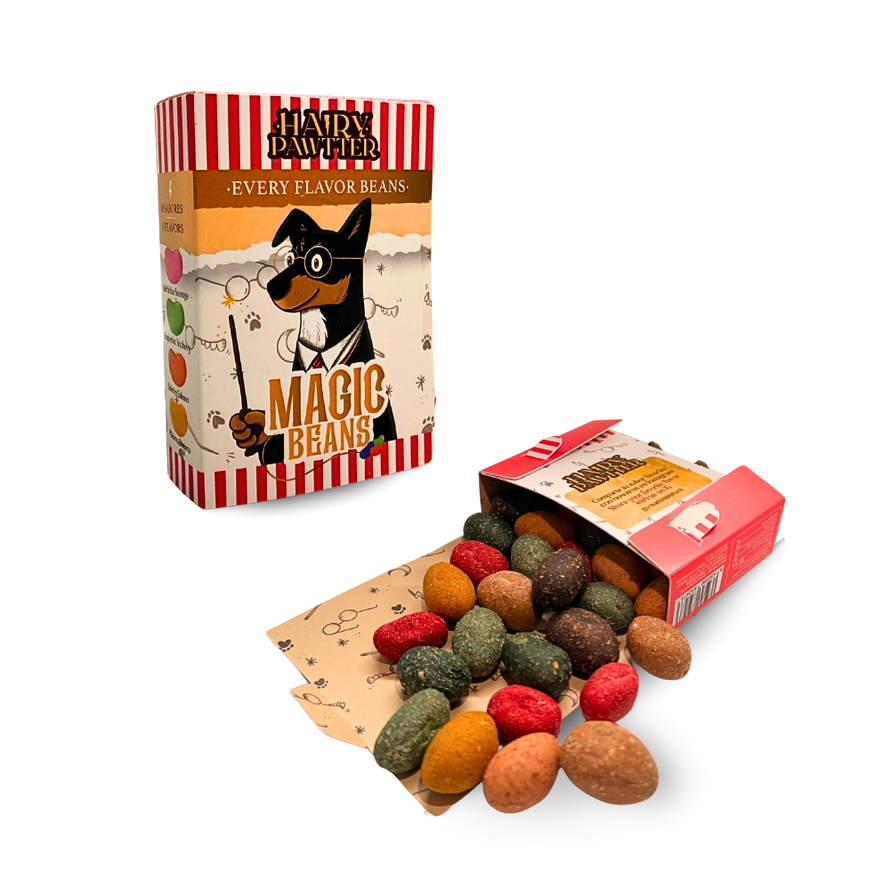 Hairy Pawtter Set – magická kolekce pro psy s vytříbeným stylem