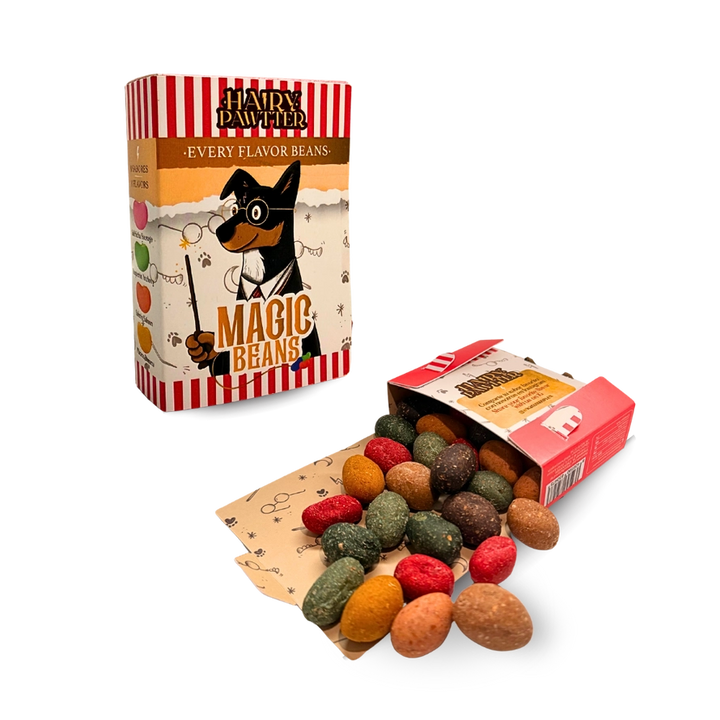 Hairy Pawtter Set – magická kolekce pro psy s vytříbeným stylem