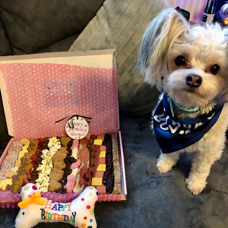 Narozeninový box s pamlsky pro psy