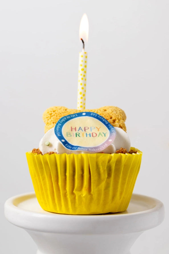 Narozeninový cupcake pro psy