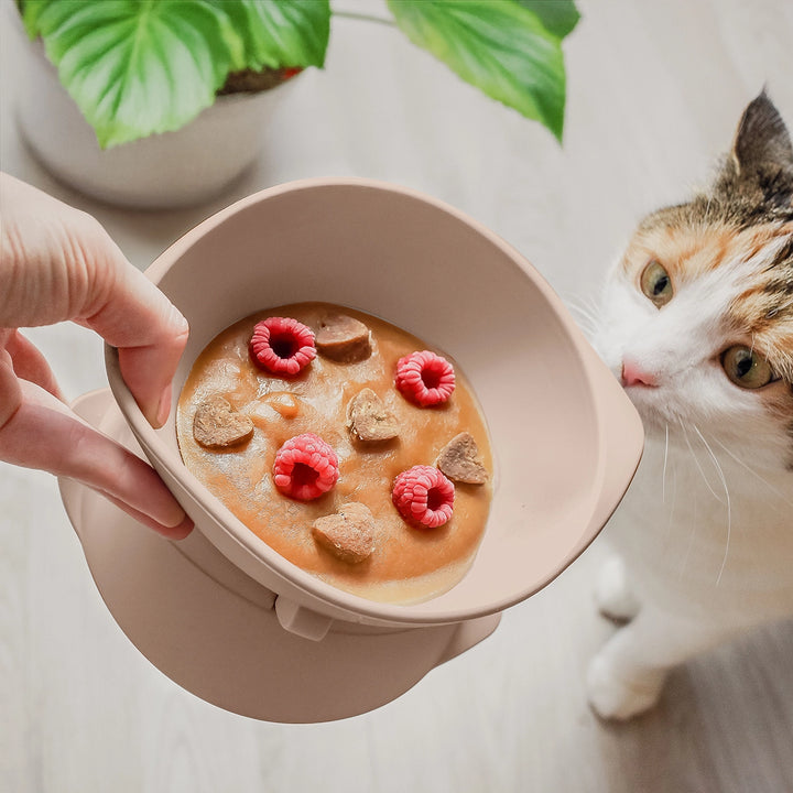 Silikonová zvýšená miska pro kočky a malé psy | Nastavitelný sklon