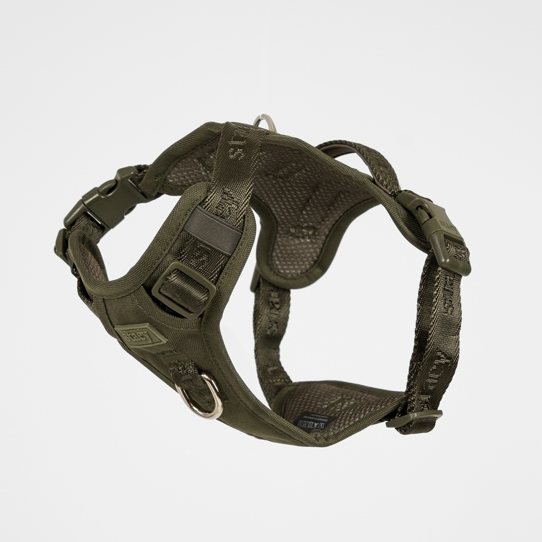 Postroj Elma Active | Moss Green