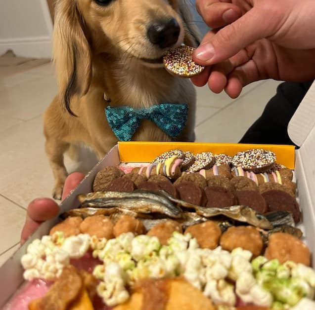 Narozeninový box s pamlsky pro psy