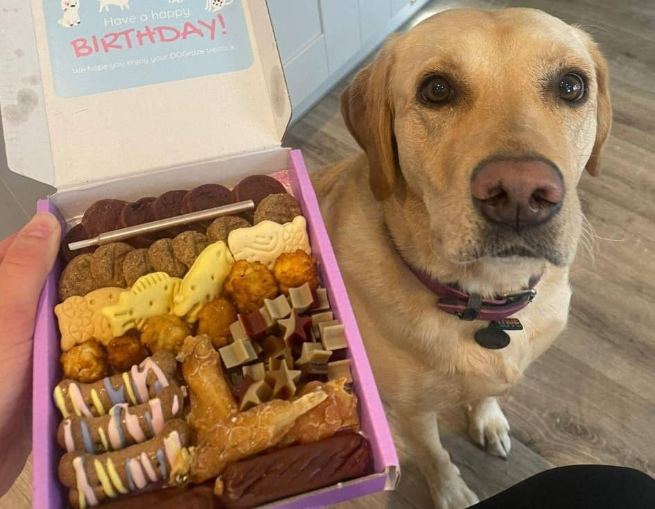 Narozeninový box s pamlsky pro psy