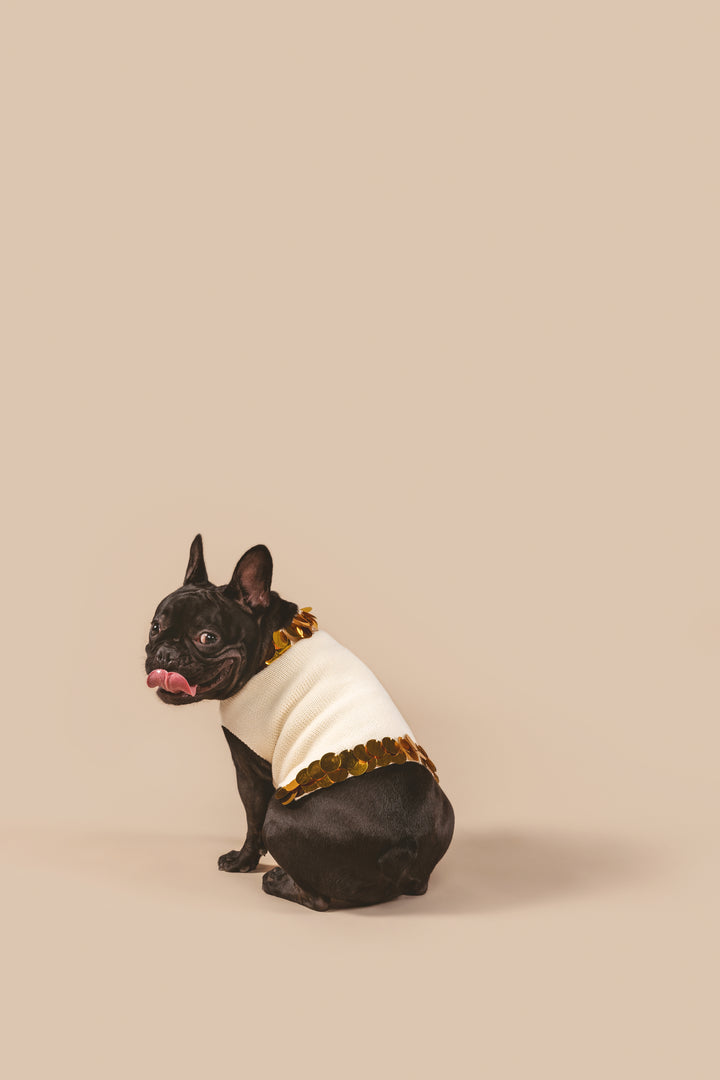 Fancy You Sweater