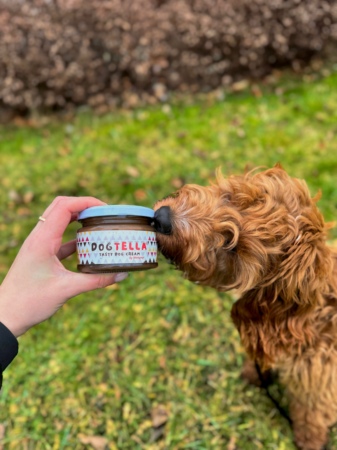 Dogtella – Psí „Nutella“