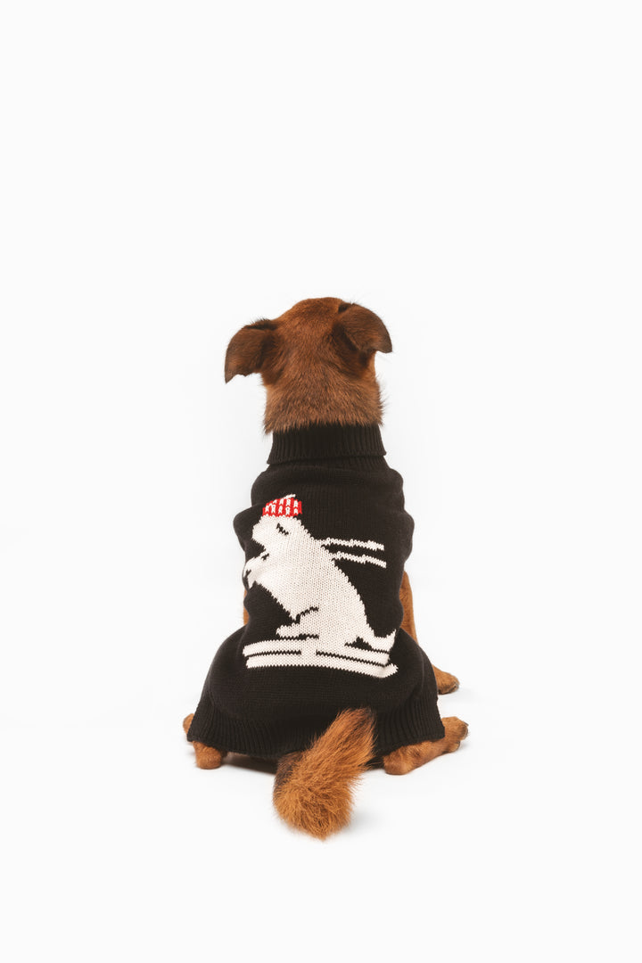 Ski Pawtrol