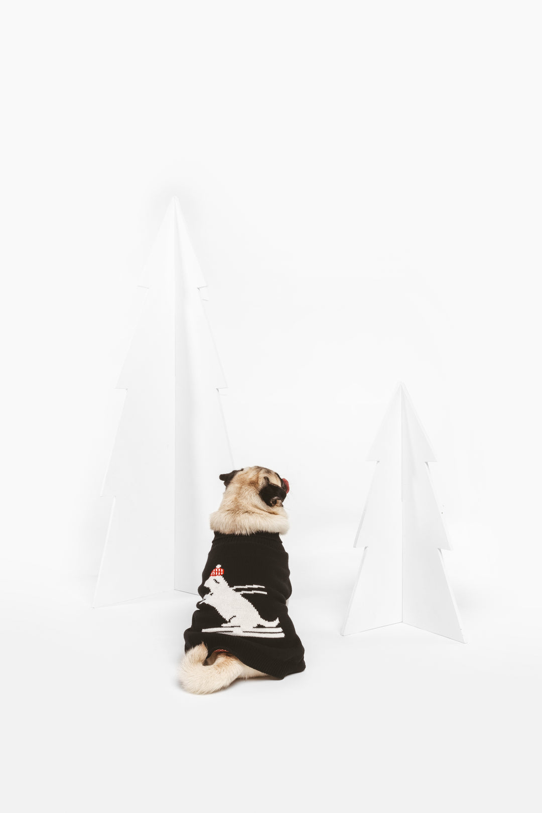 Ski Pawtrol