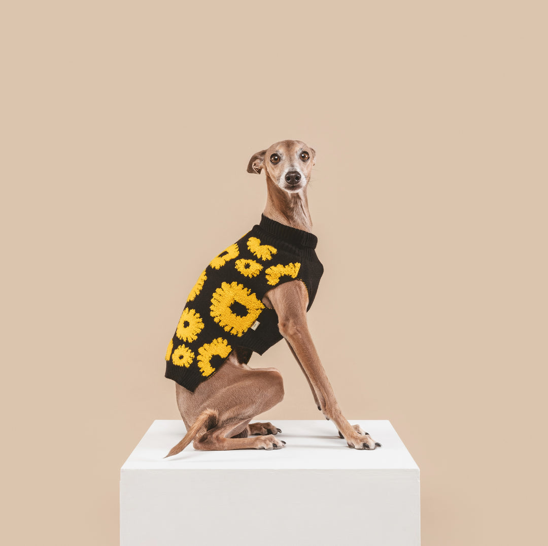 Sunflower Days Sweater