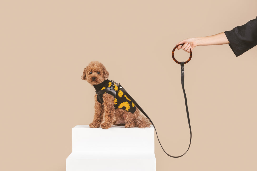 Sunflower Days Sweater