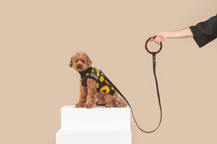 Sunflower Days Sweater