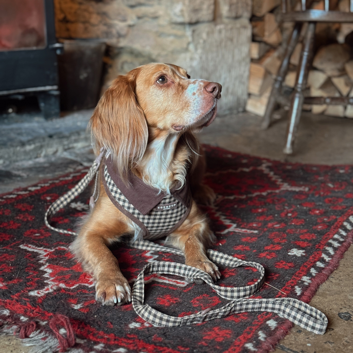 Postroj Cotswolds Check s nastavitelným obvodem krku