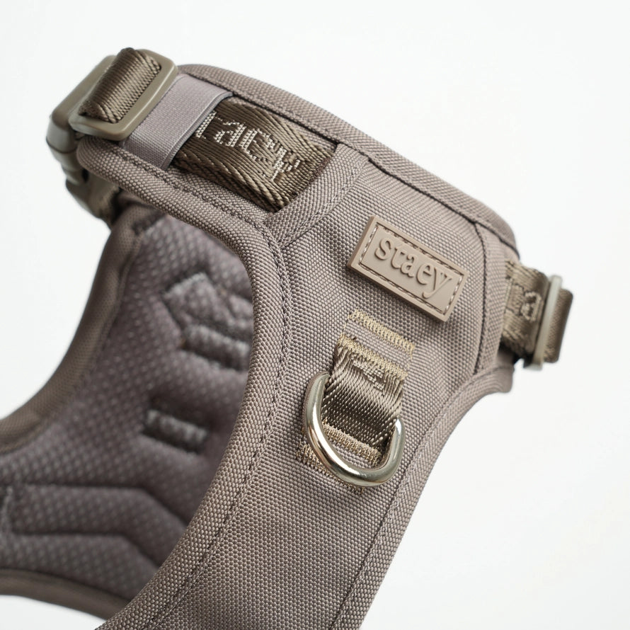 Aktivní postroj pro psa Elma – Taupe