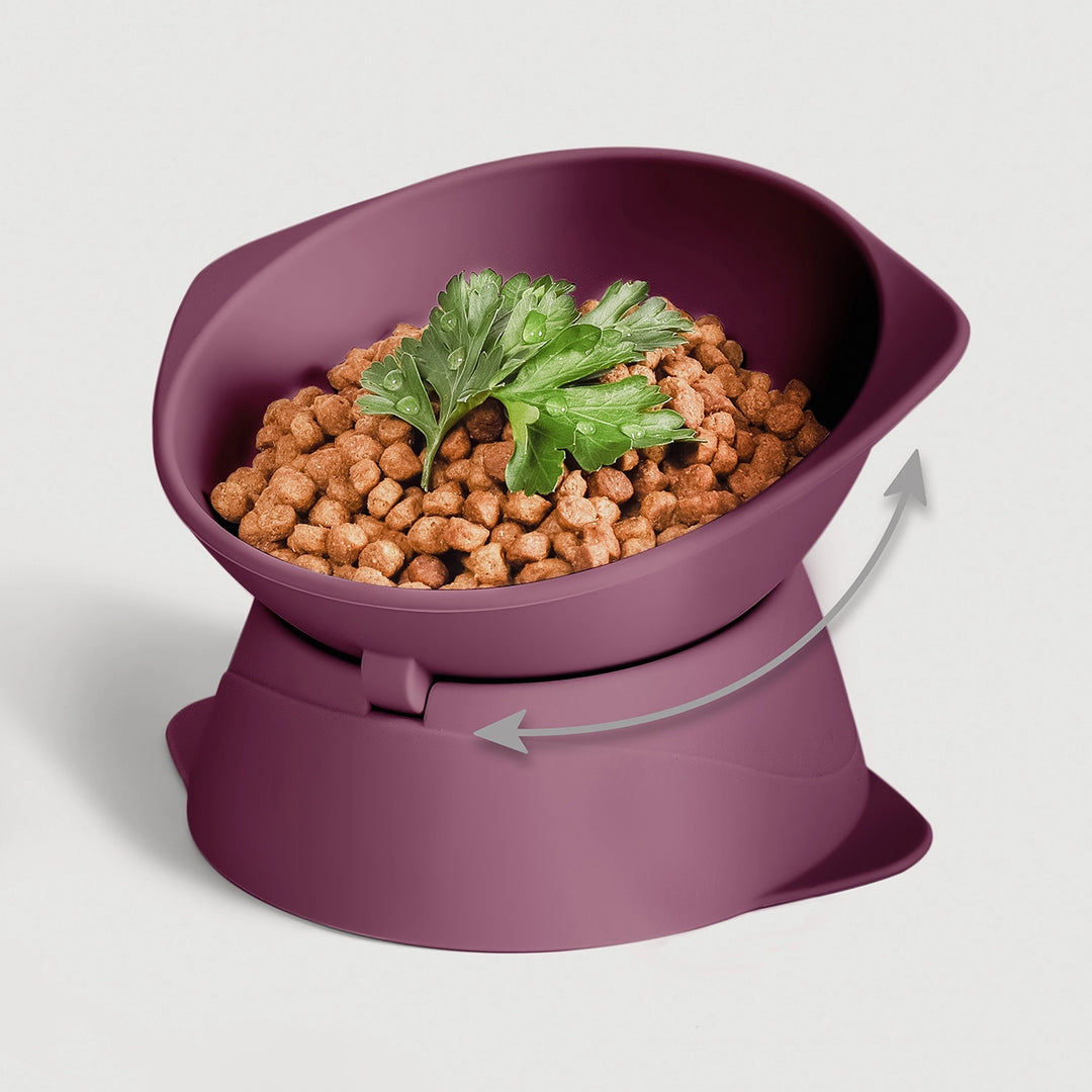 Silikonová zvýšená miska pro kočky a malé psy | Nastavitelný sklon