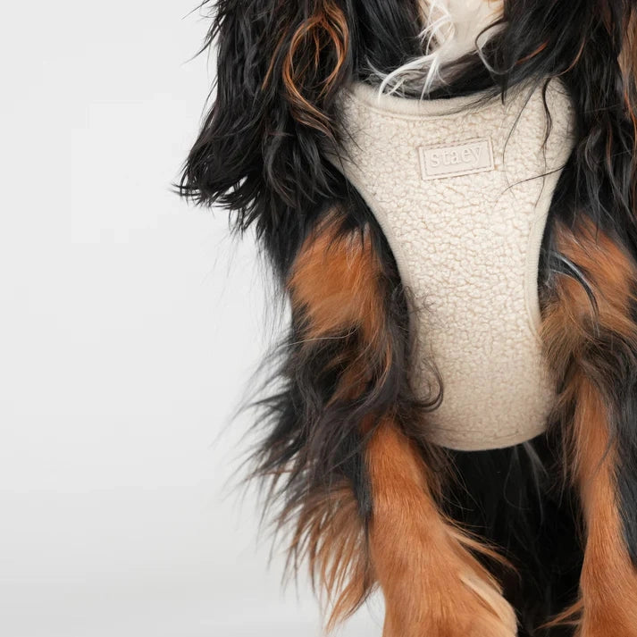 Step-in postroj pro psa Teddy – Nature