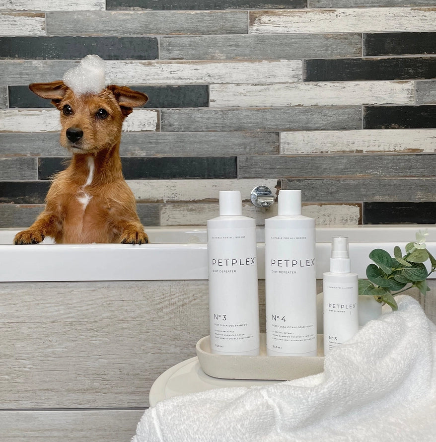 Petplex No. 4 – Kondicionér pro psy pro hebkou a lesklou srst 350 ml