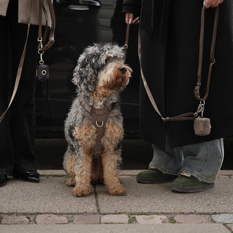 Aktivní postroj pro psa Elma – Taupe
