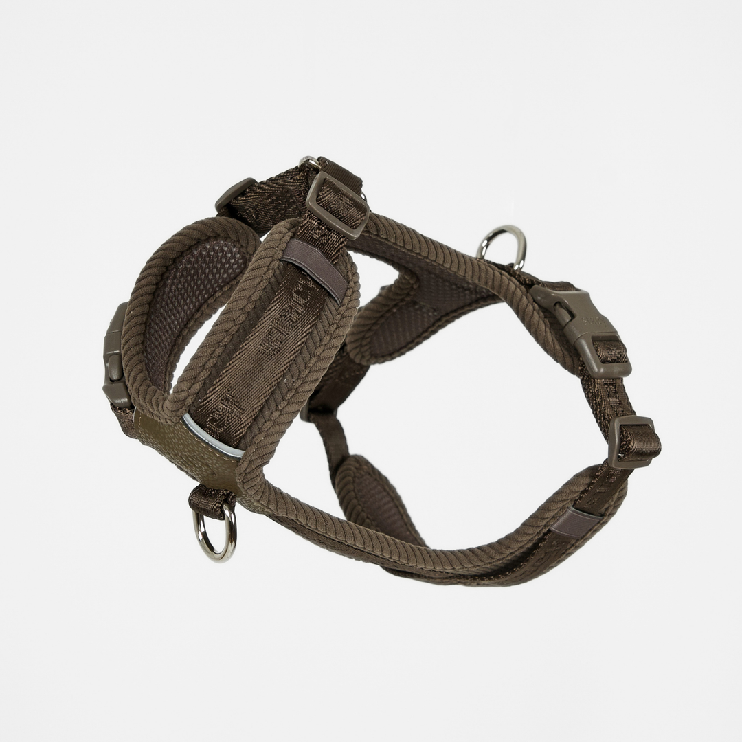 Postroj Numa | Dark Oak