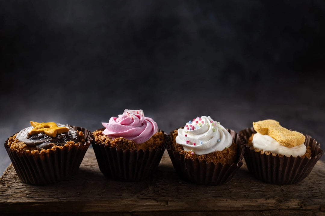 Dárkový box 4 psích cupcaků