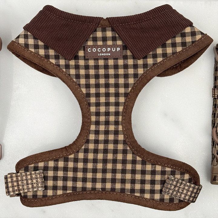 Postroj Cotswolds Check s nastavitelným obvodem krku