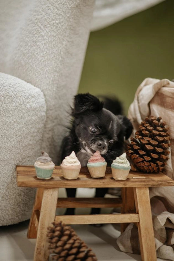 Mini cupcakes pro psy