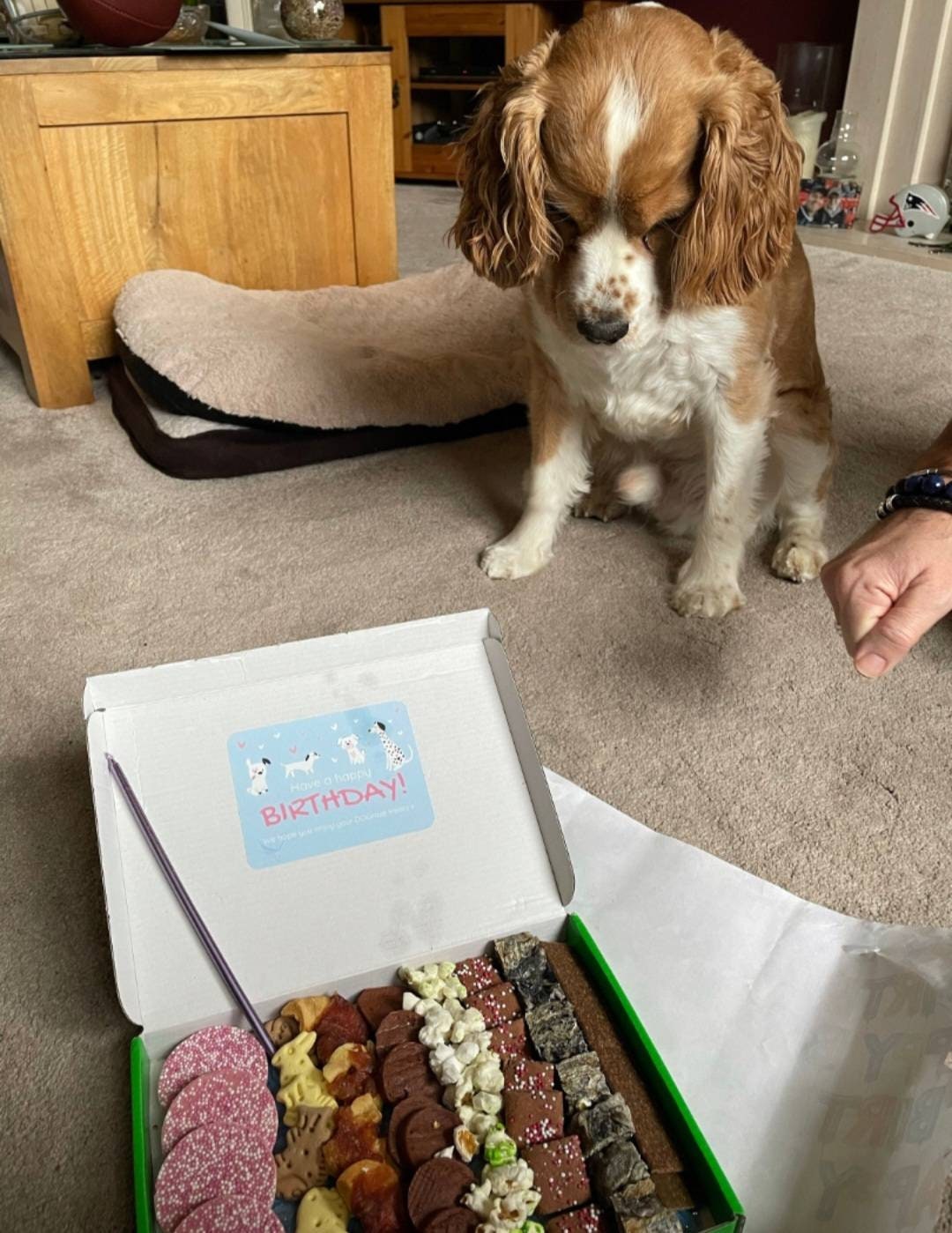 Narozeninový box s pamlsky pro psy