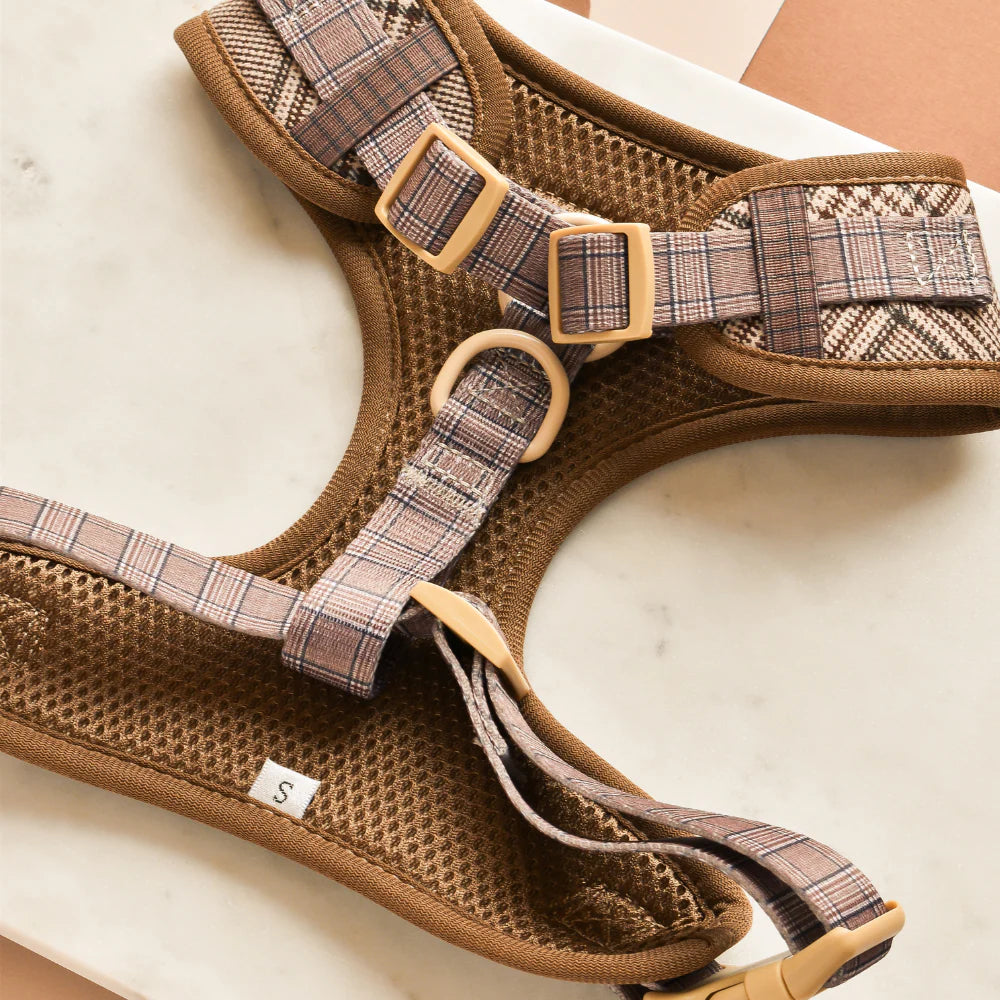 Postroj Pup Plaid