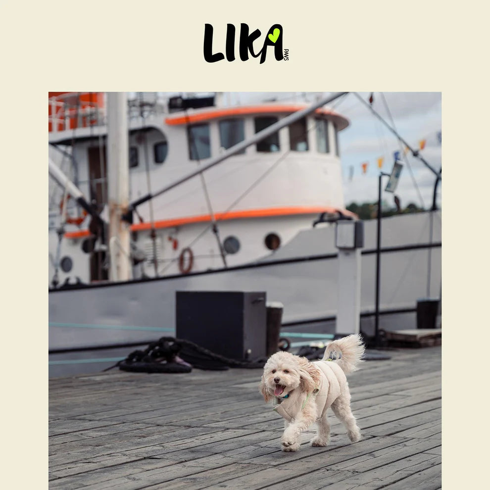 Nordic oboustranná zimní bunda pro psy