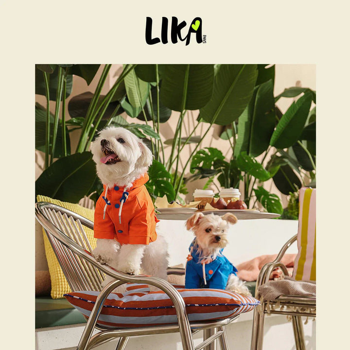 Modrá nepromokavá pláštěnka pro psy