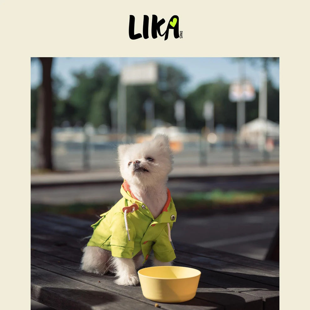 Zelená nepromokavá pláštěnka pro psy